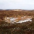 Frozen bog pool, Great Law.