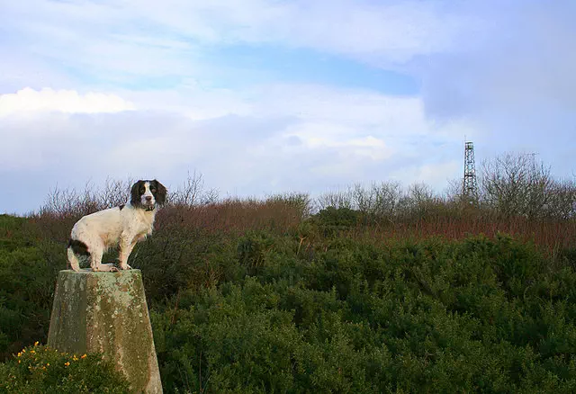 Windyheads Hill - Aberdeenshire