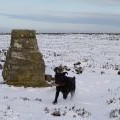 Black Hambleton Trig Point