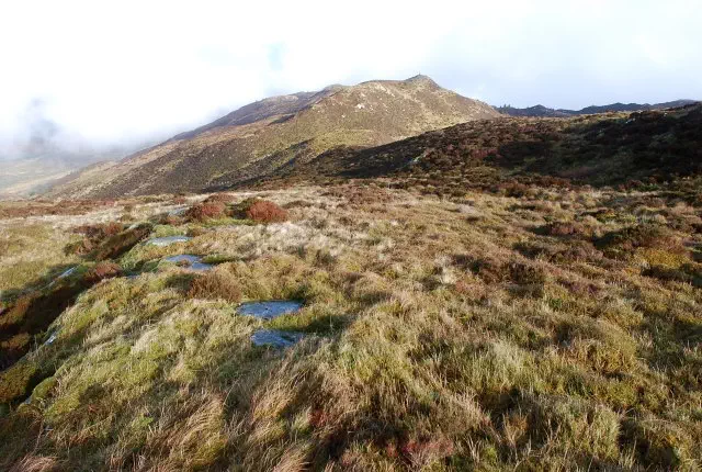 Cnoc nam Broighleag - Argyll and Bute