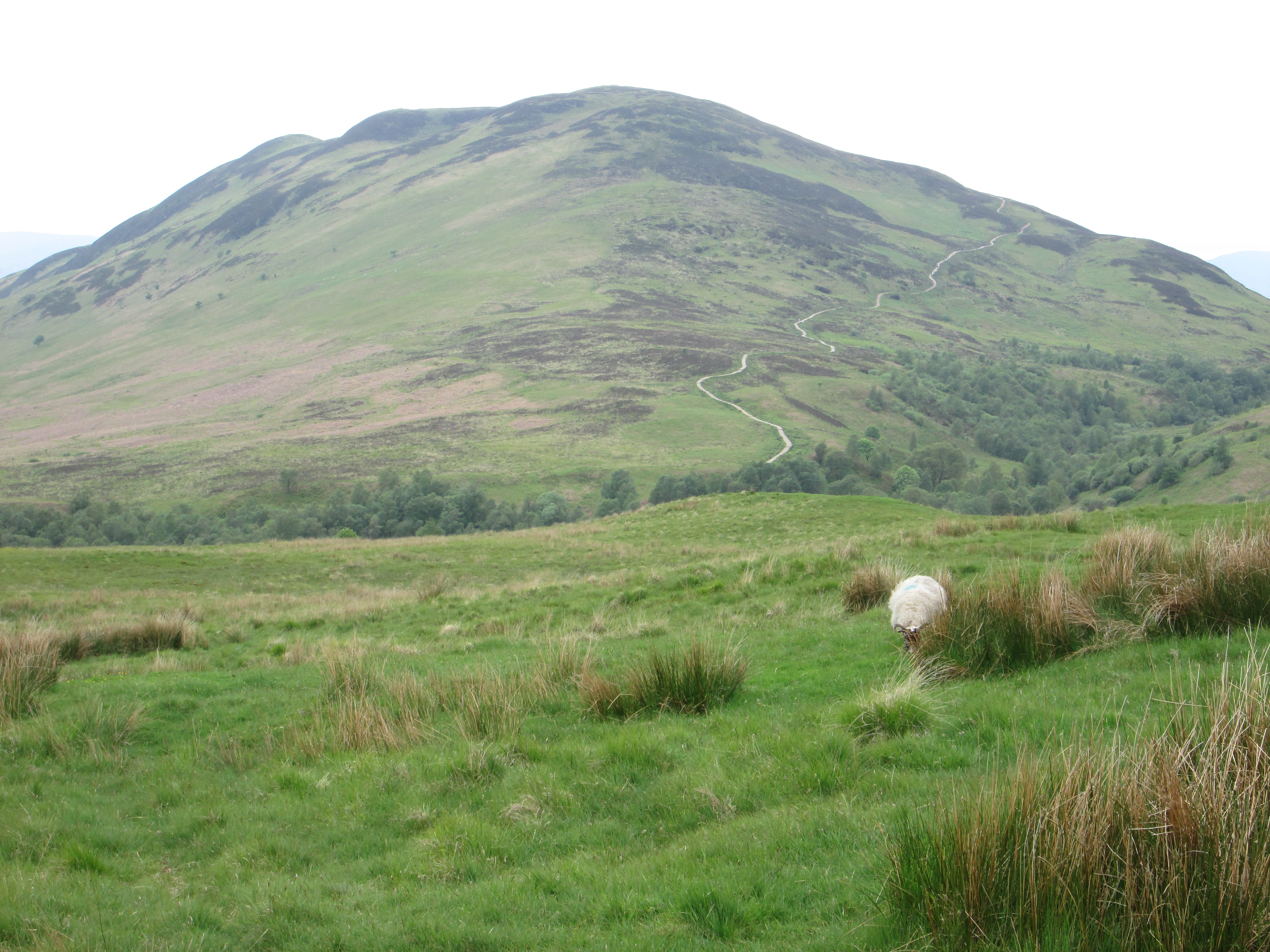 Conic Hill - West Dunbartonshire