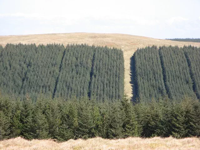 Nether Craig - Scottish Borders