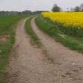 Track to the Reservoir