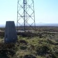 Benachielt trig