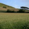 Hay Meadow, Heads