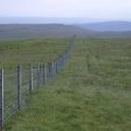 Earl's Seat fence