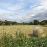 Hay Bale on the Common