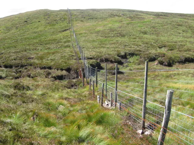 The Vine - West Dunbartonshire