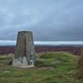 Botton Head Trig Pillar