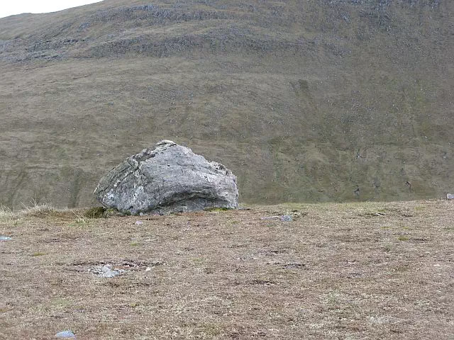 Meallan Odhar Doire nan Gillean - Highland