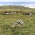 Summit Plateau of Cefn y Cylchau