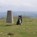 Trig Point