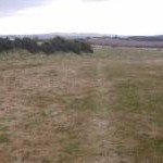 Overgrown fairway, Whitekirk Hill