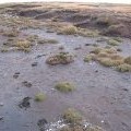 Peat, Meall nan Eanchainn