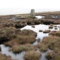 The trig point on Killhope Law