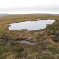 Lough below the summit of Killhope Law