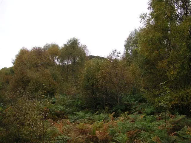 Creag a'Chlachain - Highland