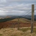 Fence, Greatmoor Hill