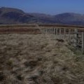 Bell Craig summit