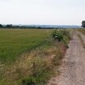 Track on Saxby Wolds