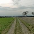 Track on Saxby Wolds