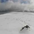 The summit of Firthhope Rig