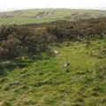 View from the summit of Mynydd Eilian south to Mynydd Nebo