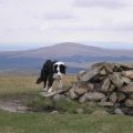 White Coomb Summit