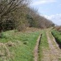 Track along the Purbeck Hills over Grange Hill