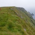 Cliff top, Scantips