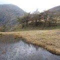 Small tarn with view of Birk Fell and Wetherlam