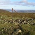 Fence post, summit of Stake Law