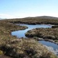 Sinuous lochan