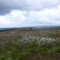 Trig point, Cauld Face