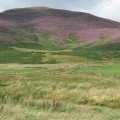 Heather on Carnethy Hill, from near Silverburn