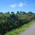 Towers of Telegraph, St. Mary's