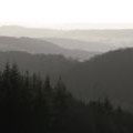 View south-east from Park Coppice near  Woolhope Cockshoot