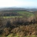 View west from near Jones's Coppice