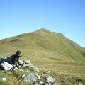 Cairn on the subsidiary summit of Meall Corranaich