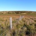 Fence leading to Little Cairn Table